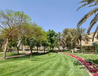 Buy in UAE for 1401717€