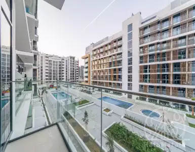 Buy in UAE for 219437€