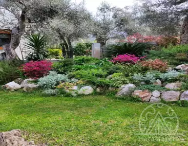 Buy in Montenegro for 550000€