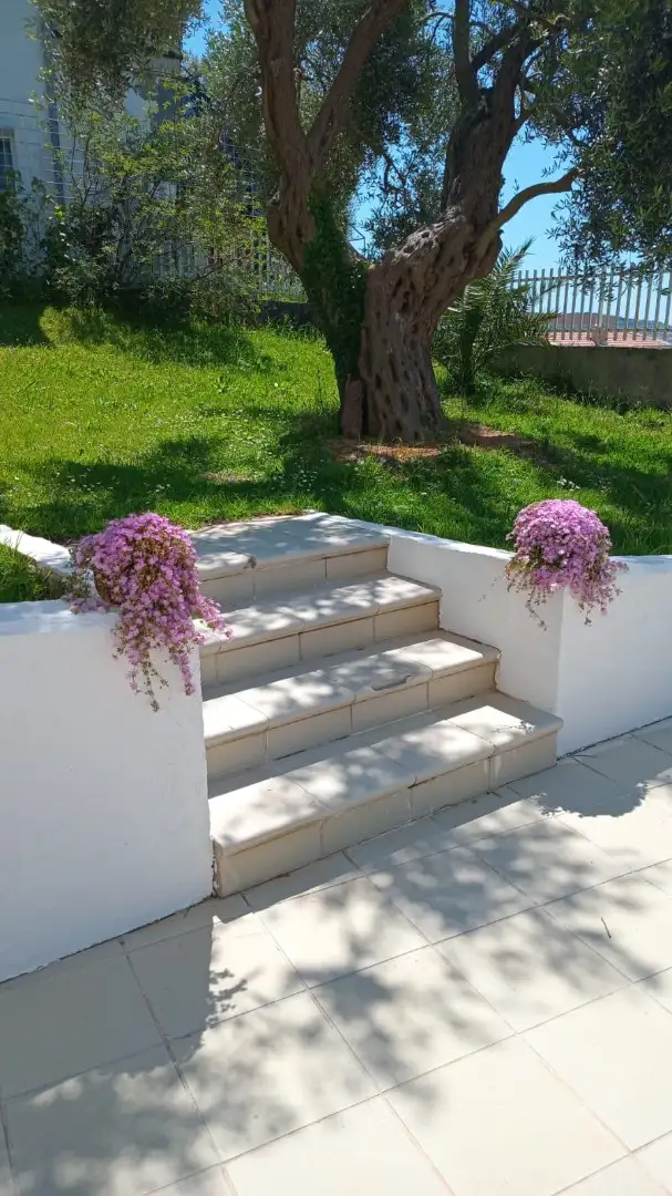 House 310m² in Montenegro, Bar. Priced at 420000€ rent photo-5