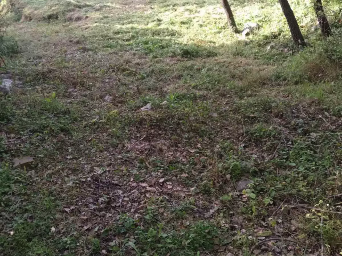Land 1m² in Montenegro, Dobra Voda. Priced at 42000€ rent photo-2