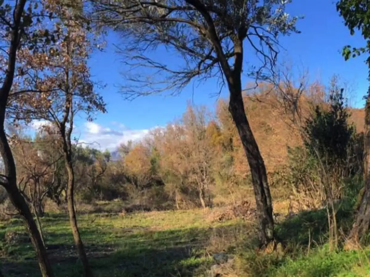 Land 1m² in Montenegro, Dobra Voda. Priced at 42000€ rent photo-4