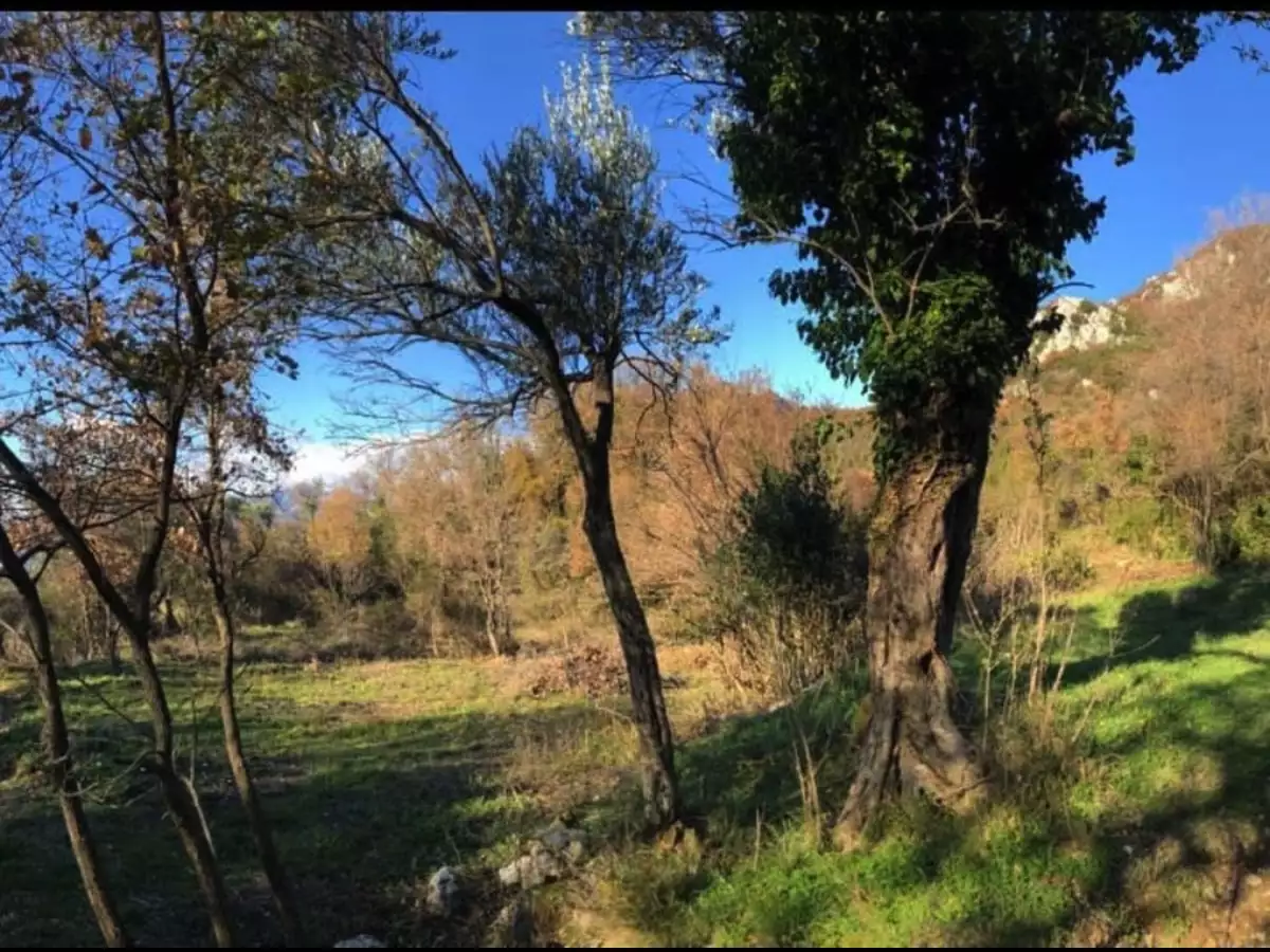 Land 1m² in Montenegro, Dobra Voda. Priced at 42000€ rent photo-6
