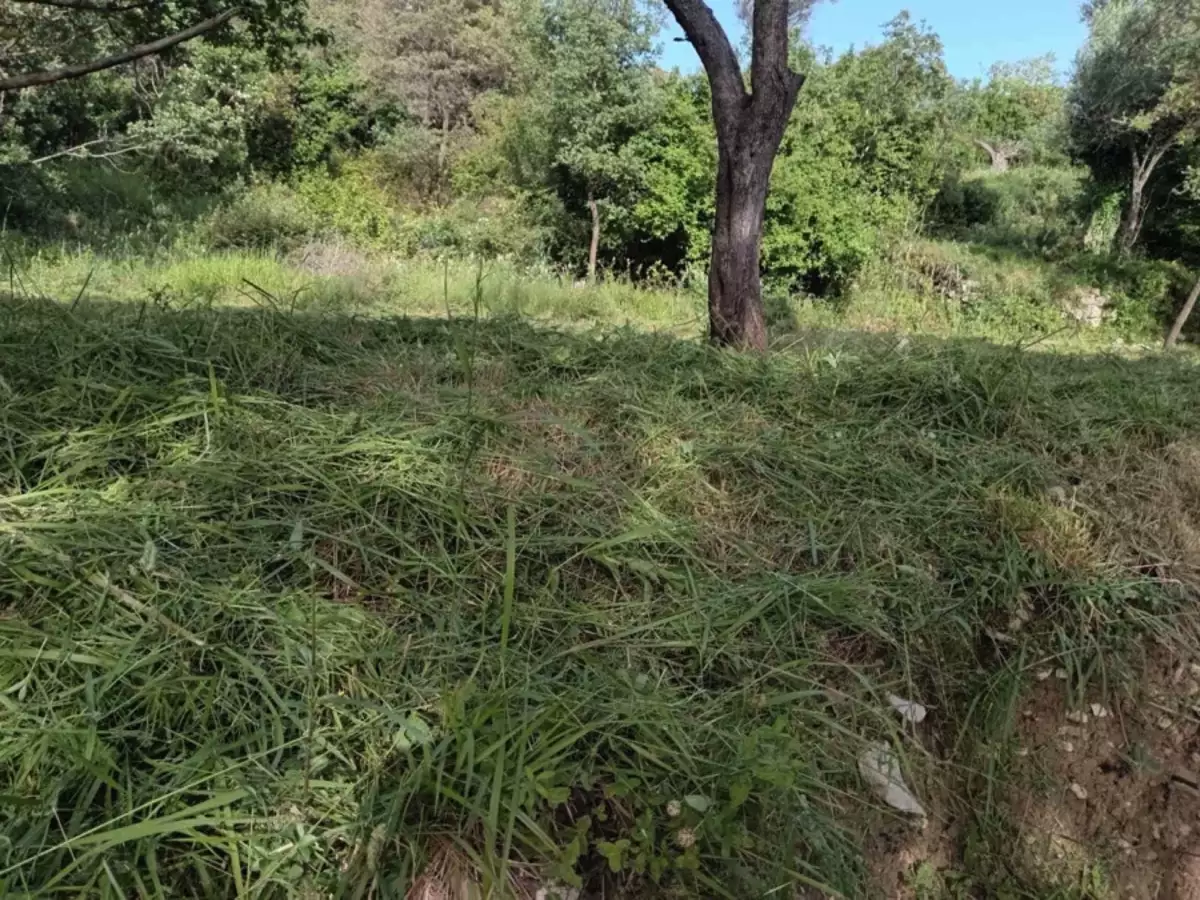Land 1m² in Montenegro, Dobra Voda. Priced at 42000€ rent photo-7