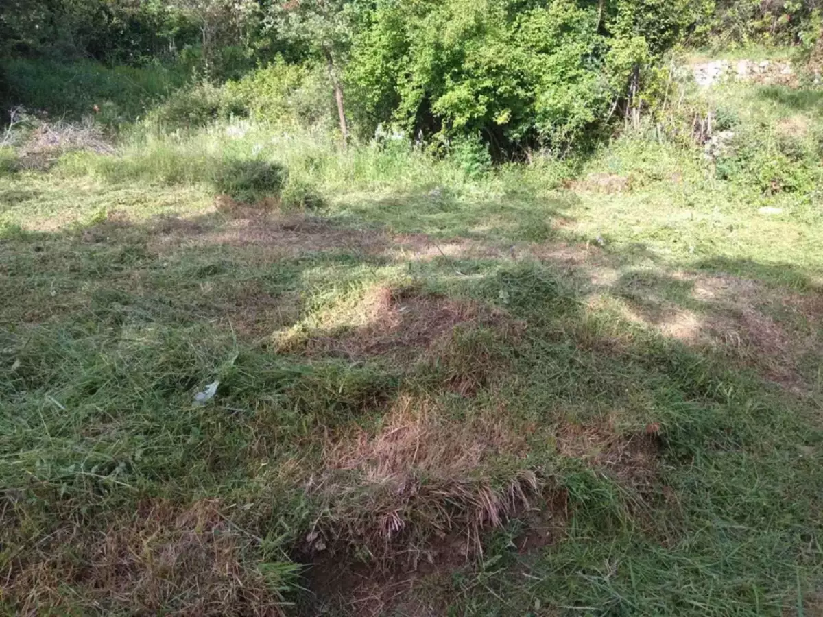 Land 1m² in Montenegro, Dobra Voda. Priced at 42000€ rent photo-8