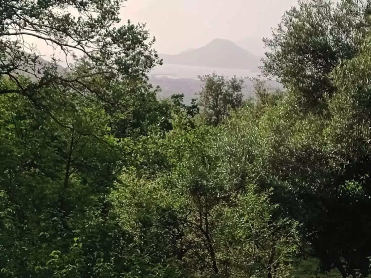 Land 1m² in Montenegro, Dobra Voda. Priced at 42000€ rent photo-9