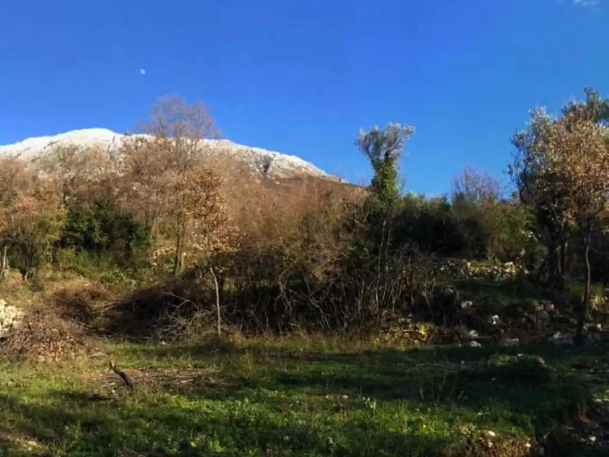 Land 1m² in Montenegro, Dobra Voda. Priced at 42000€ rent photo-10