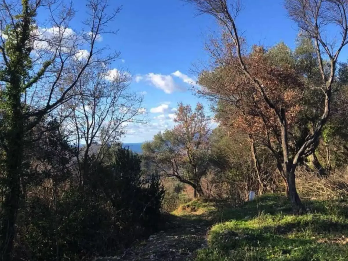 Land 1m² in Montenegro, Dobra Voda. Priced at 42000€ rent photo-11