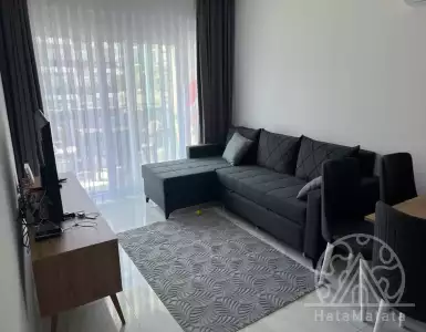 Buy in Turkey for 98000€