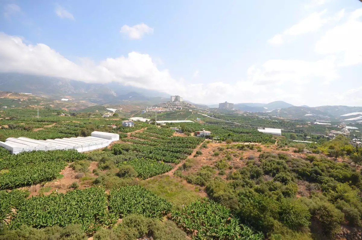 Flat 48m² in Turkey, Mahmutlar. Priced at 190000€ rent photo-15