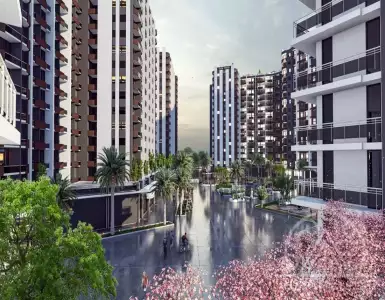 Buy in Turkey for 54000€