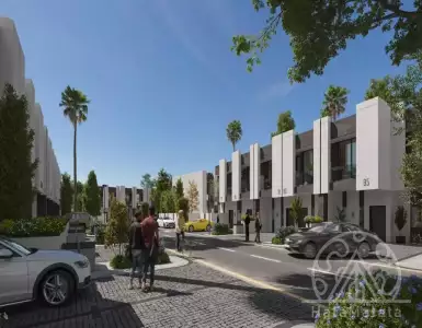 Buy in UAE for 387000€
