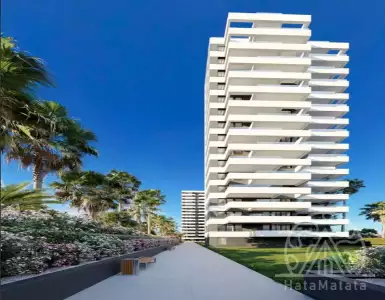 Buy in Spain for 540250€