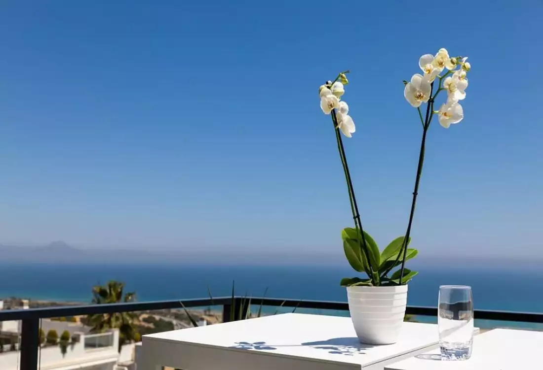 Flat 102m² in Spain, Alicante. Priced at 405000€ rent photo-7