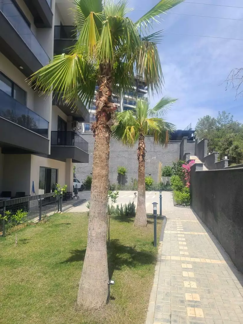 Flat 59m² in Turkey, Avsallar. Priced at 96000€ rent photo-3