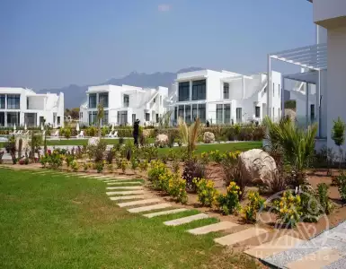 Buy in Cyprus for 291317€