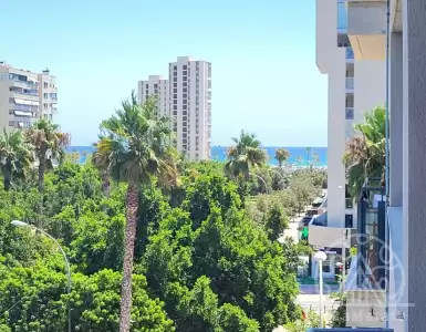 Buy in Spain for 495000€