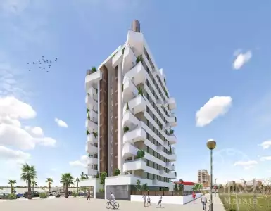 Buy in Spain for 605000€