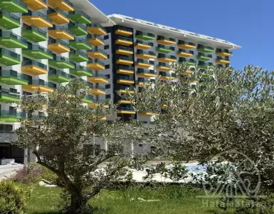 Buy in Turkey for 125000€