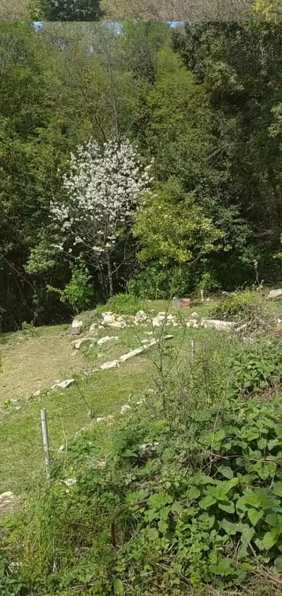 Land 1m² in Montenegro, Mojdez. Priced at 24000€ rent photo-1