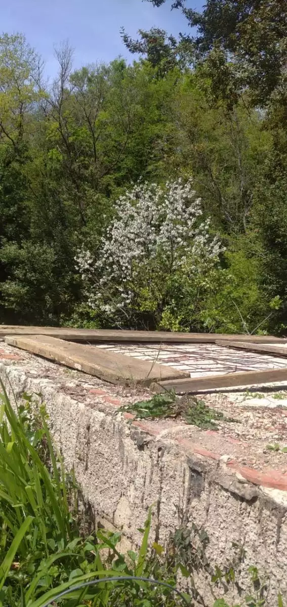 Land 1m² in Montenegro, Mojdez. Priced at 24000€ rent photo-3