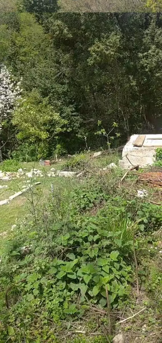 Land 1m² in Montenegro, Mojdez. Priced at 24000€ rent photo-5