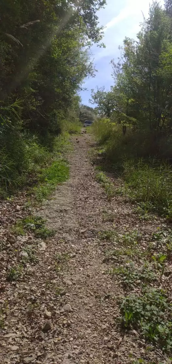 Land 1m² in Montenegro, Mojdez. Priced at 24000€ rent photo-6