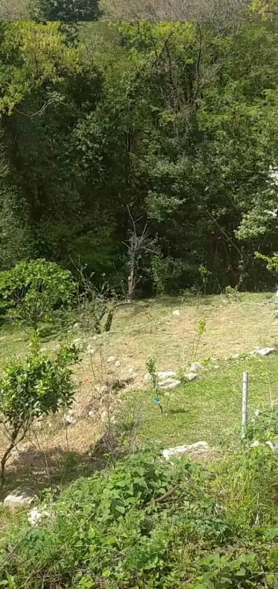 Land 1m² in Montenegro, Mojdez. Priced at 24000€ rent photo-7