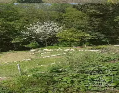 Buy in Montenegro for 24000€