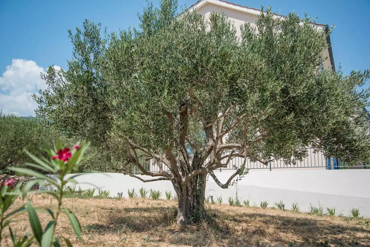 Villa 277m² in Croatia, Kastela. Priced at 1100000€ rent photo-23