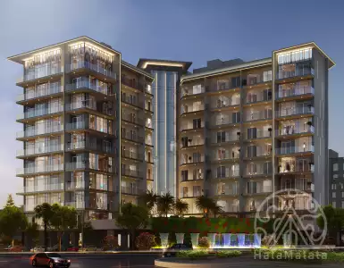 Buy in UAE for 446572$
