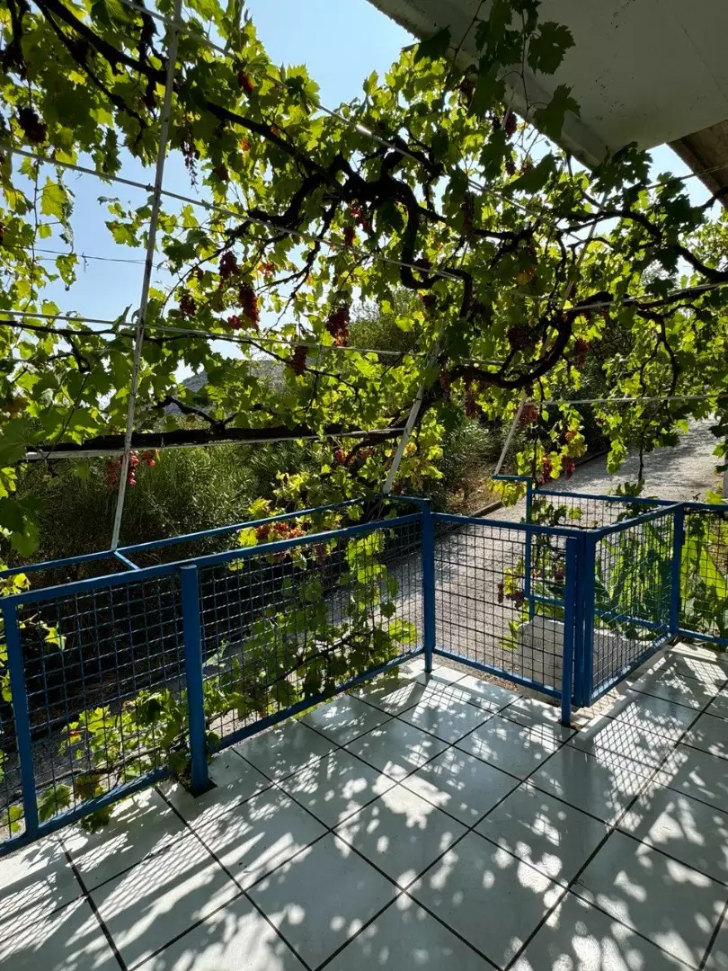 Townhouse 44m² in Montenegro, Sutomore. Priced at 59000€ rent photo-14