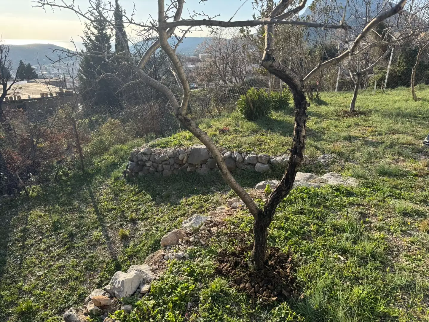 House 45m² in Montenegro, Sutomore. Priced at 58000€ rent photo-9