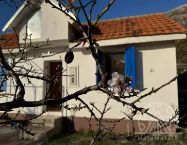 Buy in Montenegro for 58000€