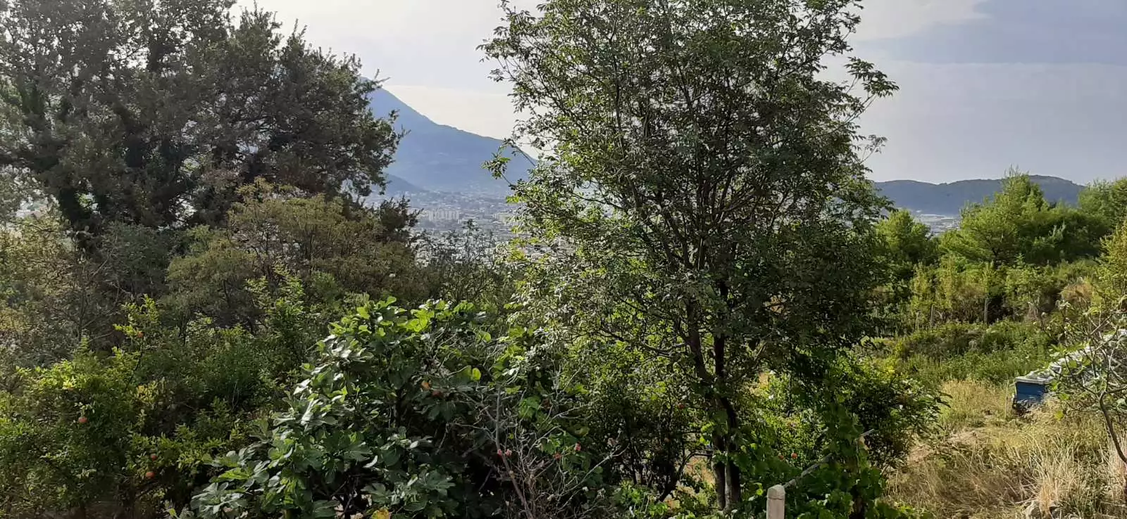House 76m² in Montenegro, Bar. Priced at 135000€ rent photo-12
