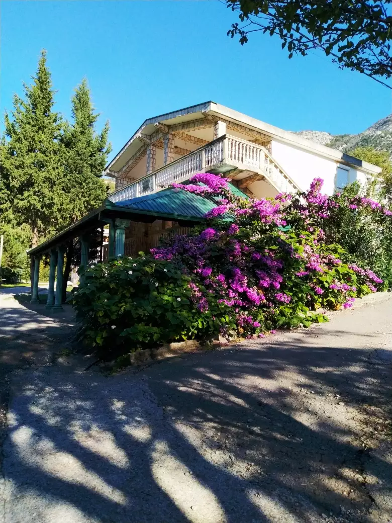Hotels 240m² in Montenegro, Can. Priced at 230000€ rent photo-1
