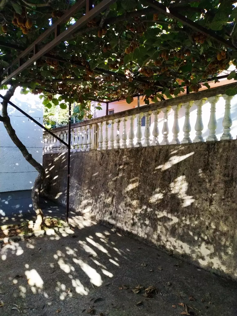 Hotels 240m² in Montenegro, Can. Priced at 230000€ rent photo-8