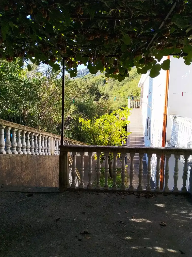 Hotels 240m² in Montenegro, Can. Priced at 230000€ rent photo-13