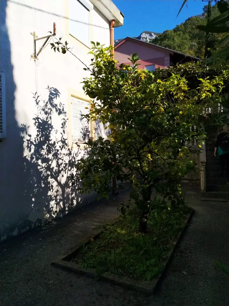 Hotels 240m² in Montenegro, Can. Priced at 230000€ rent photo-14