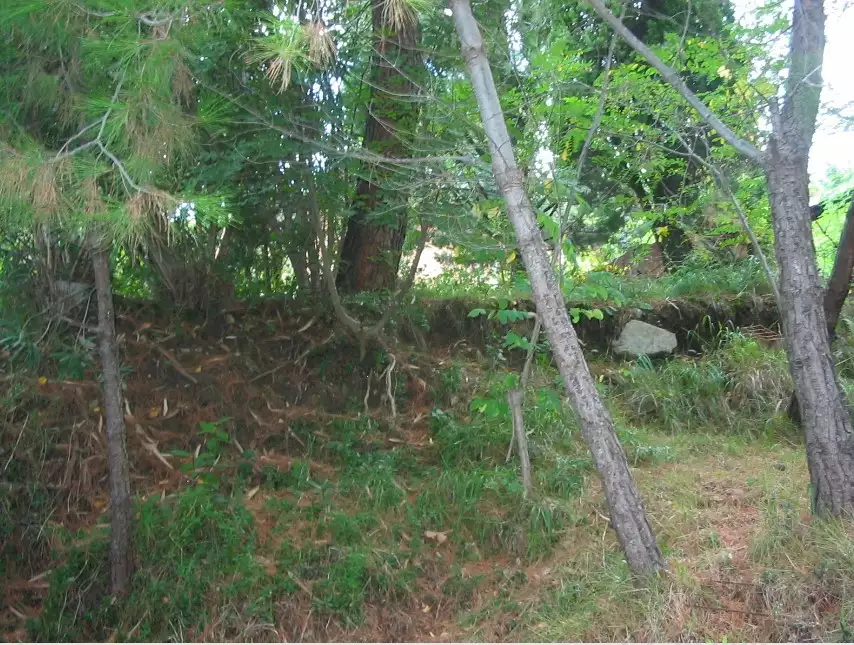 Land 50m² in Montenegro, Bar. Priced at 190000€ rent photo-3