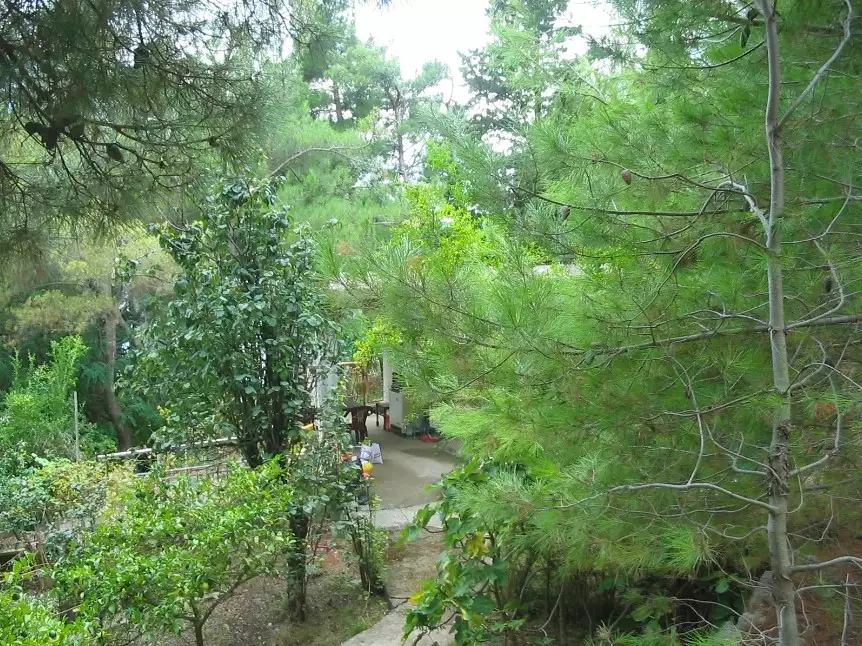Land 50m² in Montenegro, Bar. Priced at 190000€ rent photo-4