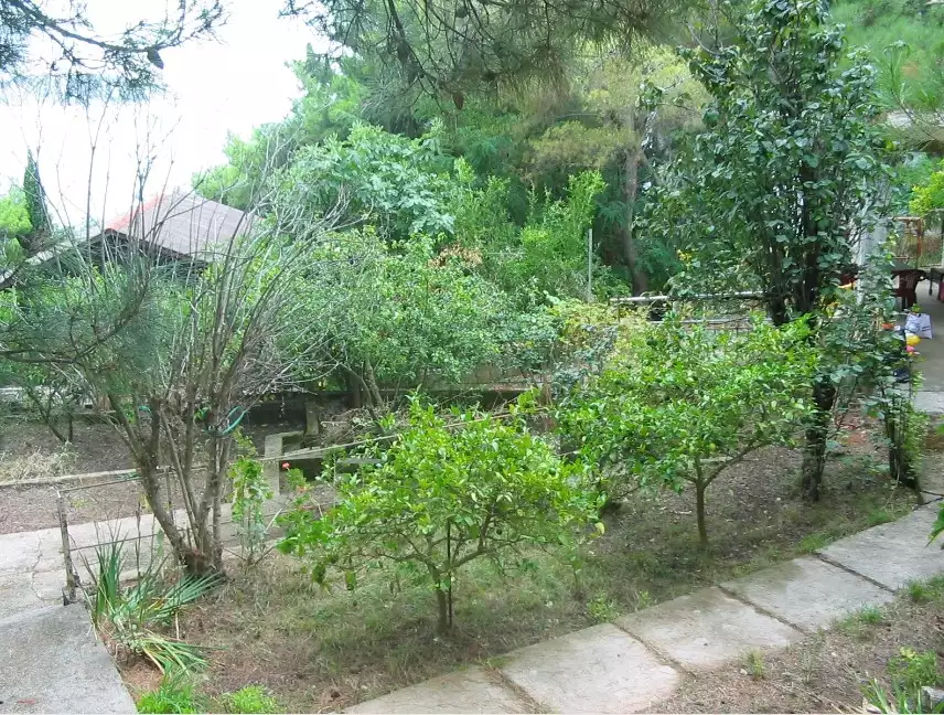 Land 50m² in Montenegro, Bar. Priced at 190000€ rent photo-5