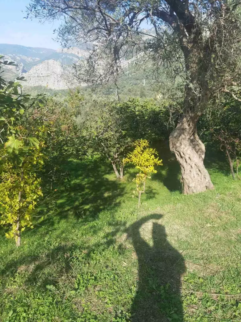House 100m² in Montenegro, Bar. Priced at 400000€ rent photo-5