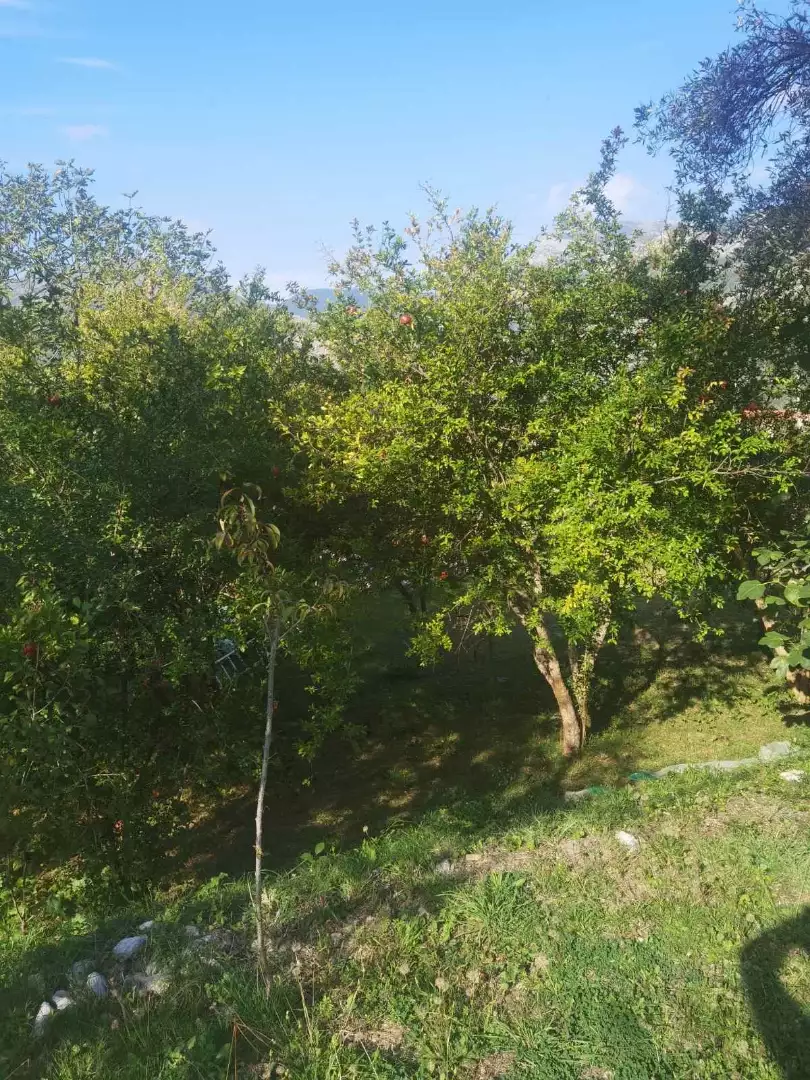 House 100m² in Montenegro, Bar. Priced at 400000€ rent photo-6