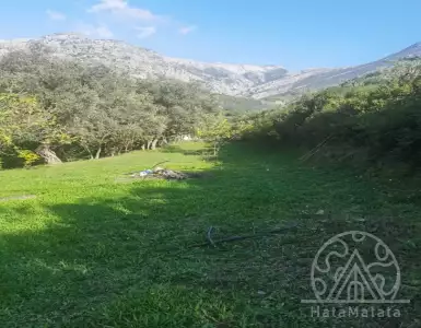 Buy in Montenegro for 400000€