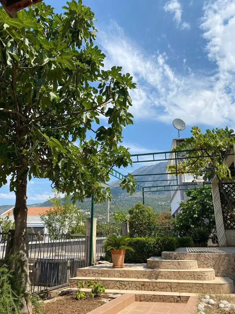 House 180m² in Montenegro, Dobra Voda. Priced at 270000€ rent photo-20