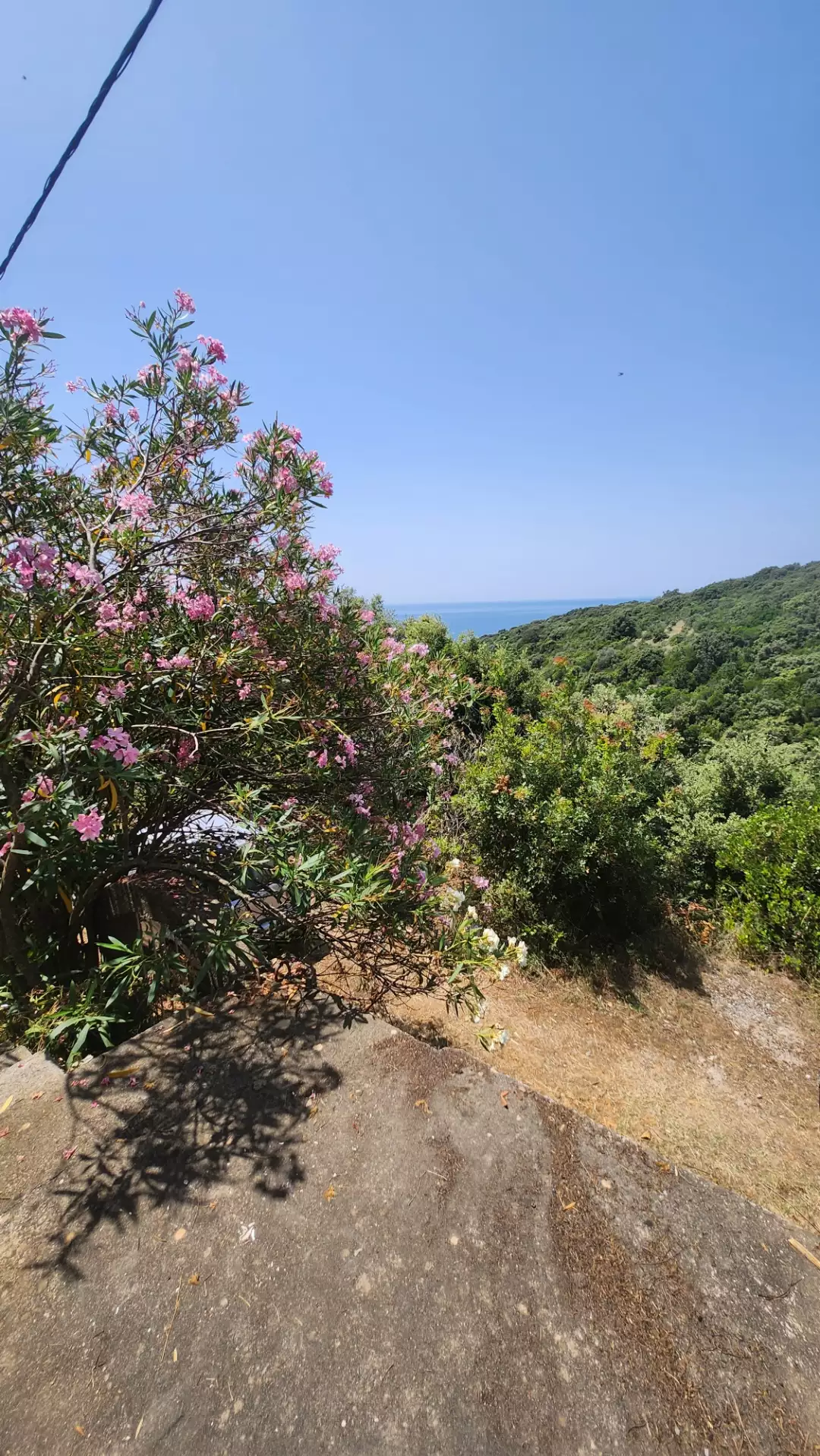 House 90m² in Montenegro, Utjeha. Priced at 75000€ rent photo-4