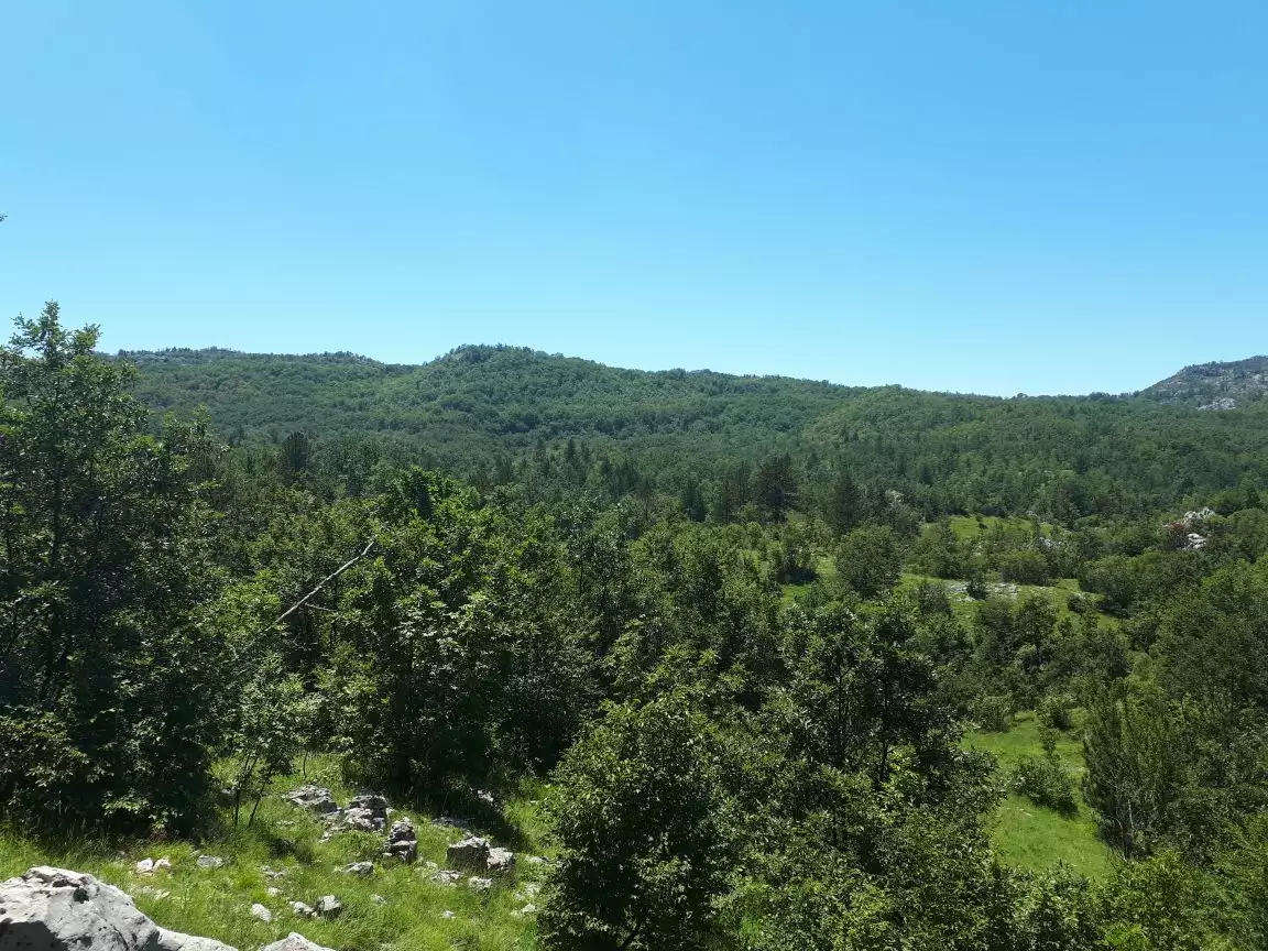 Land 136000m² in Montenegro, Danilovgrad. Priced at 292000€ rent photo-1