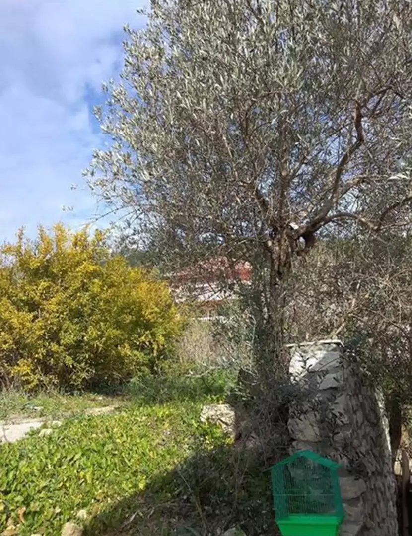 House 70m² in Montenegro, Ulcinj. Priced at 95000€ rent photo-2