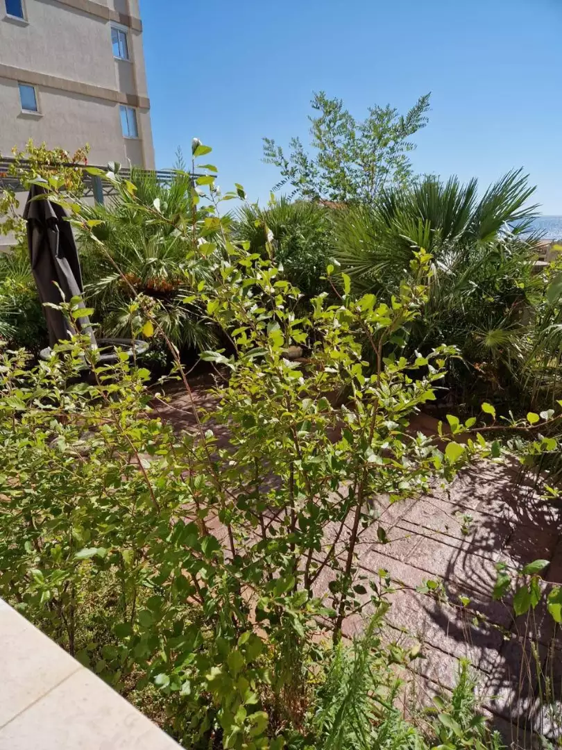 Flat 90m² in Montenegro, Petrovac. Priced at 210000€ rent photo-8